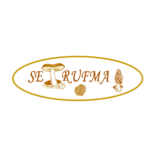 logo-setrufma